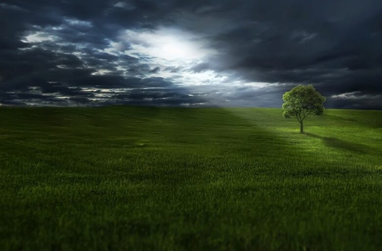 tree-on-meadow-under-stormy-sky