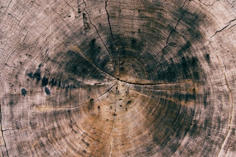 Tree rings